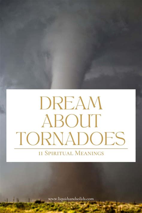 Navigating Through Chaos: A Dream of Tornadoes and Business